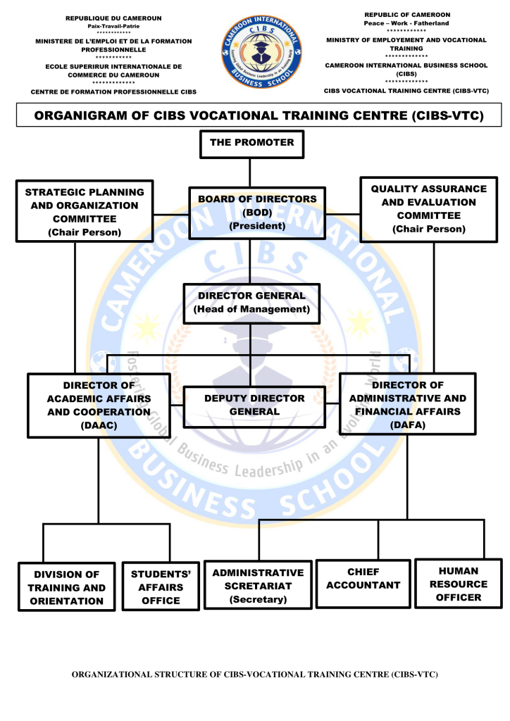 cibs organizational structure 1